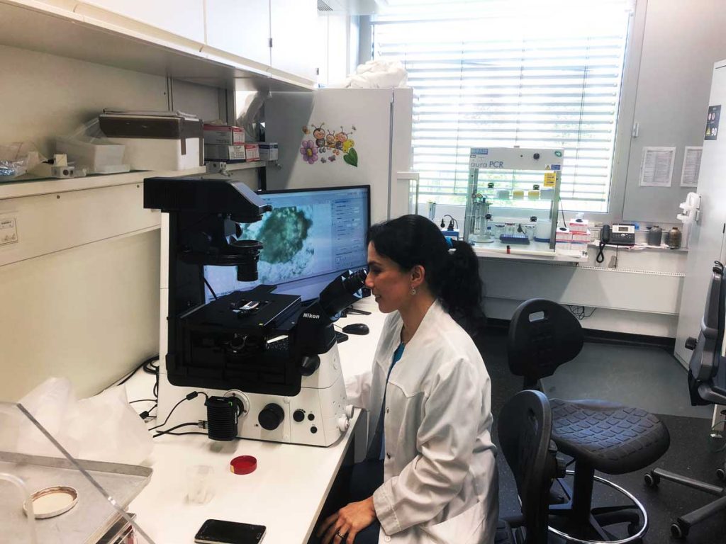 Dra. Gabriela Strauch Clínica Universitaria Puerto Montt