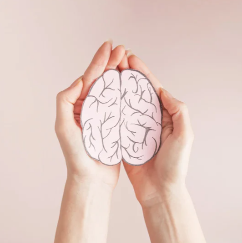 Cerebro